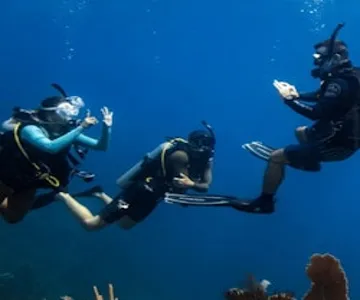 Dubai: PADI Open Water Course with eLearning